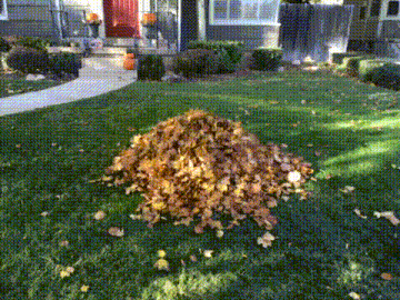 leafSlide.gif