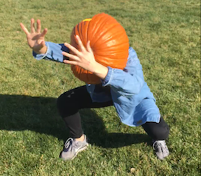 pumpkinDez.png